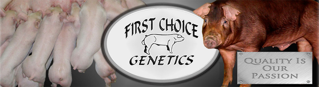 First Choice Genetics logo
